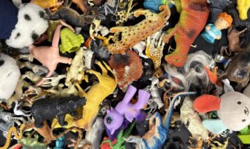 Détails jouets Modus Focus