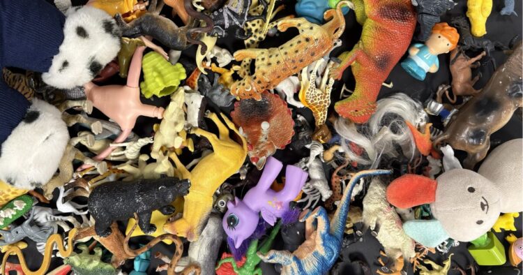 Détails jouets Modus Focus